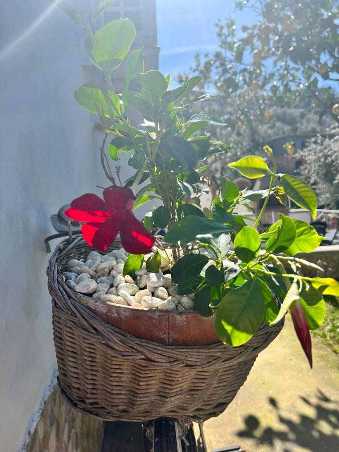 Il Cacciatore Сasa de vacaciones